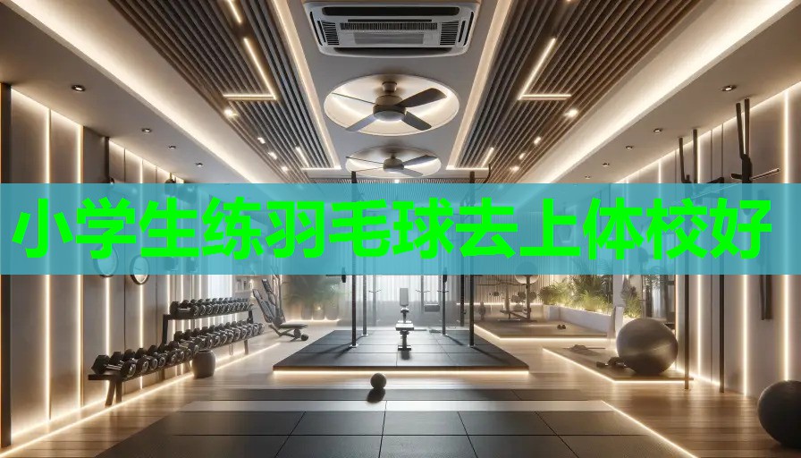 小学生练羽毛球去上体校好