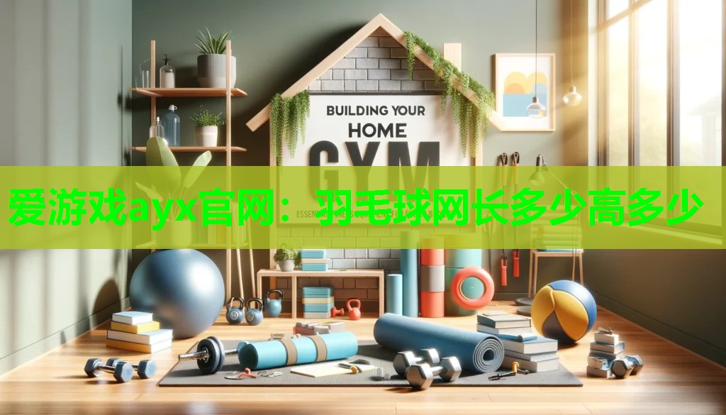 羽毛球网长多少高多少