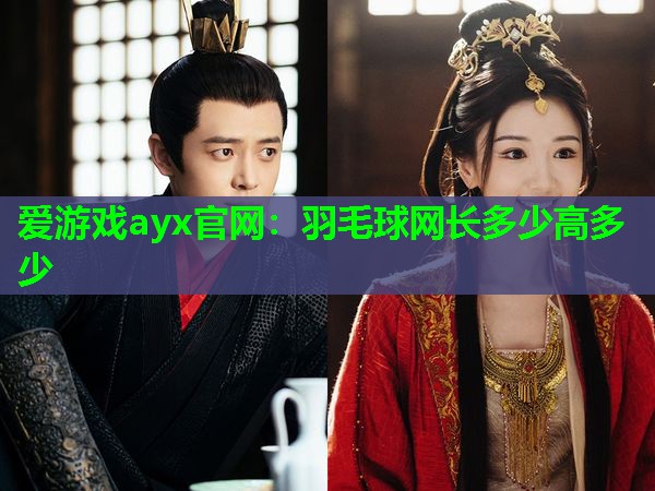 羽毛球网长多少高多少