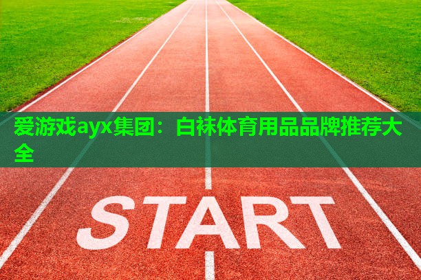 白袜体育用品品牌推荐大全