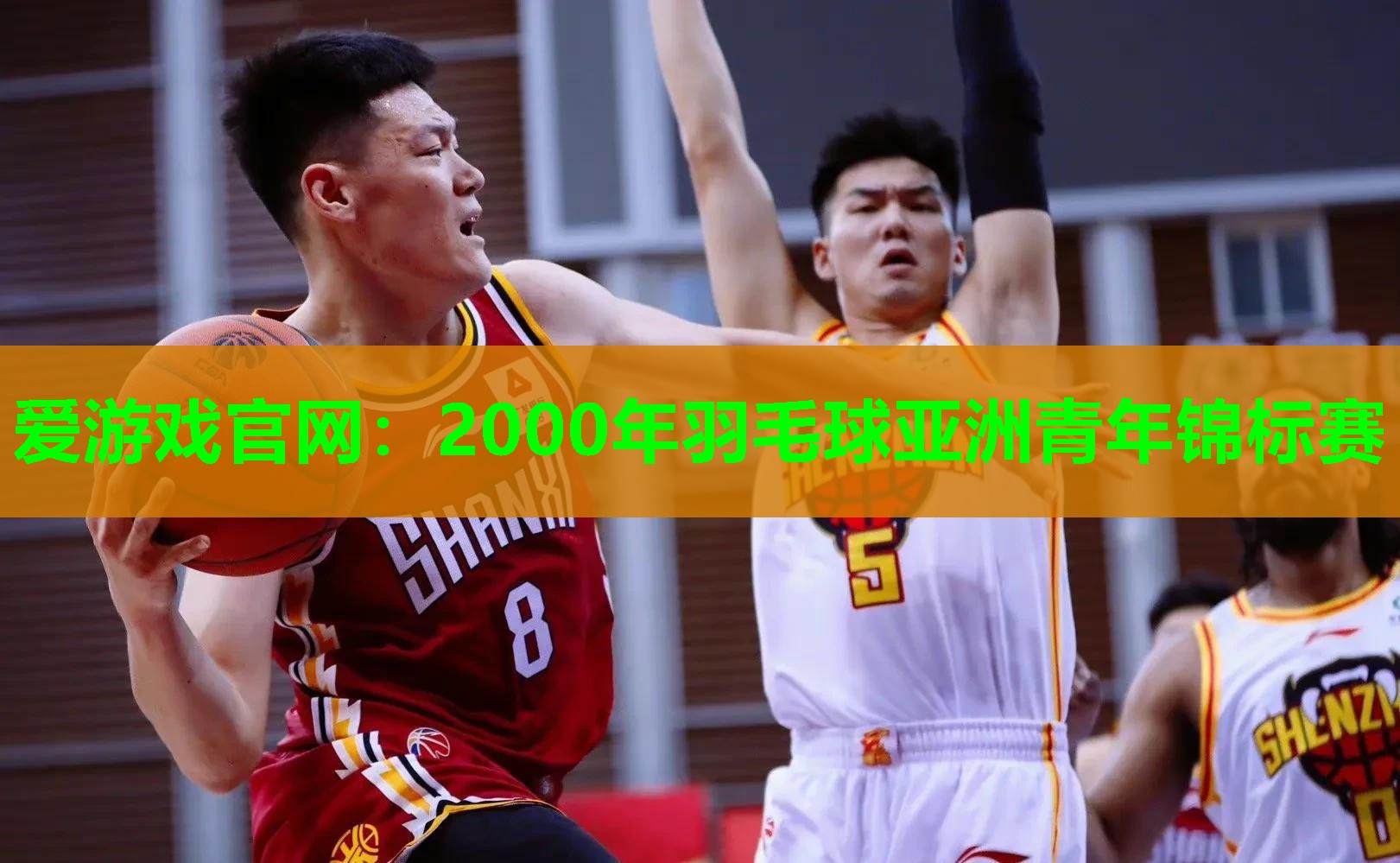 2000年羽毛球亚洲青年锦标赛