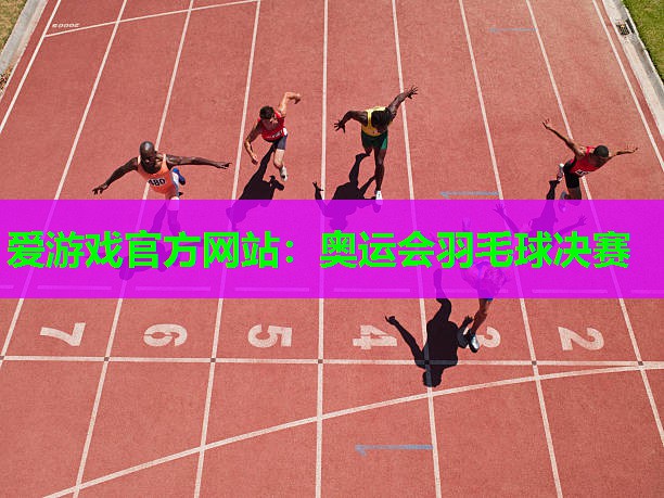 奥运会羽毛球决赛