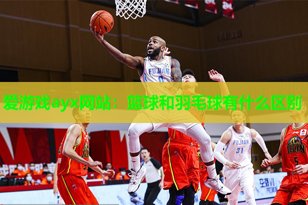 篮球和羽毛球有什么区别